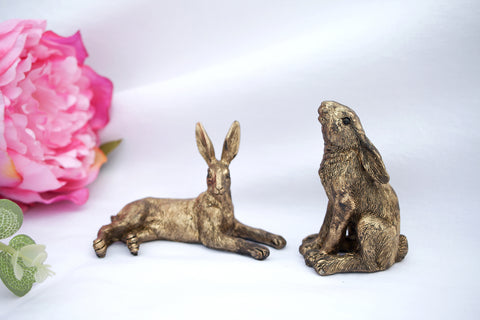 Pair of Hares