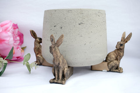 Hare Plant Pot Stands